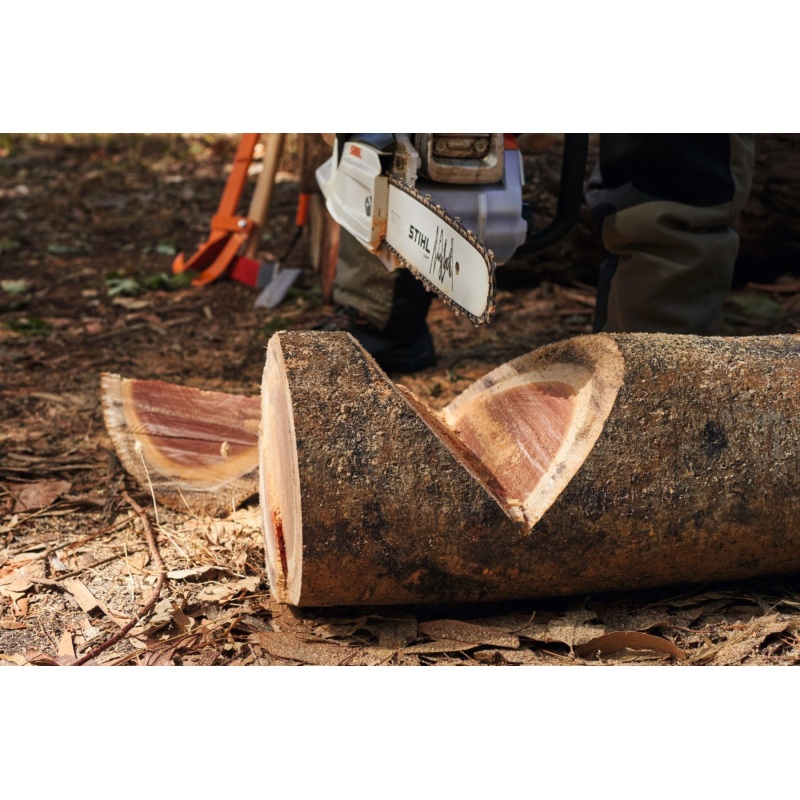 94045_making_firewood_hq_p_2022-03_0014_global_2 (1).jpg