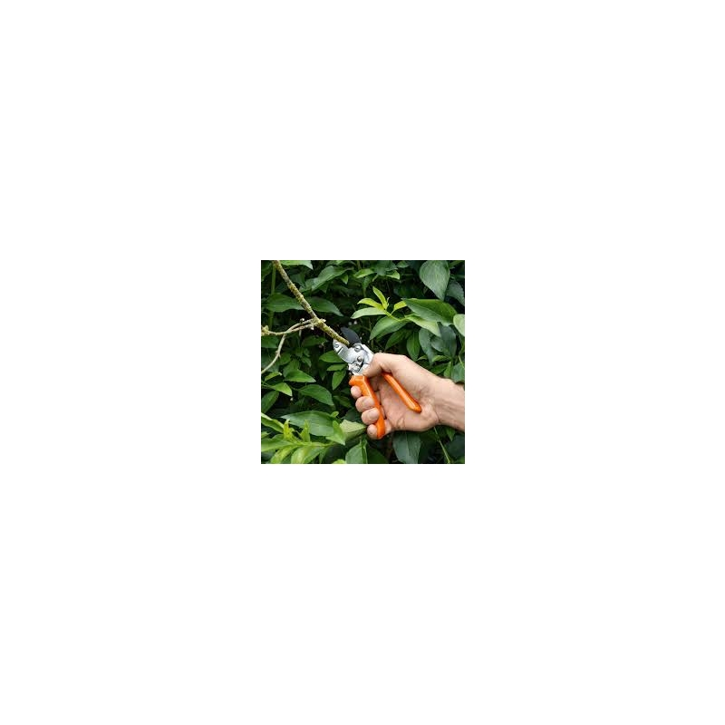260429-115820.png