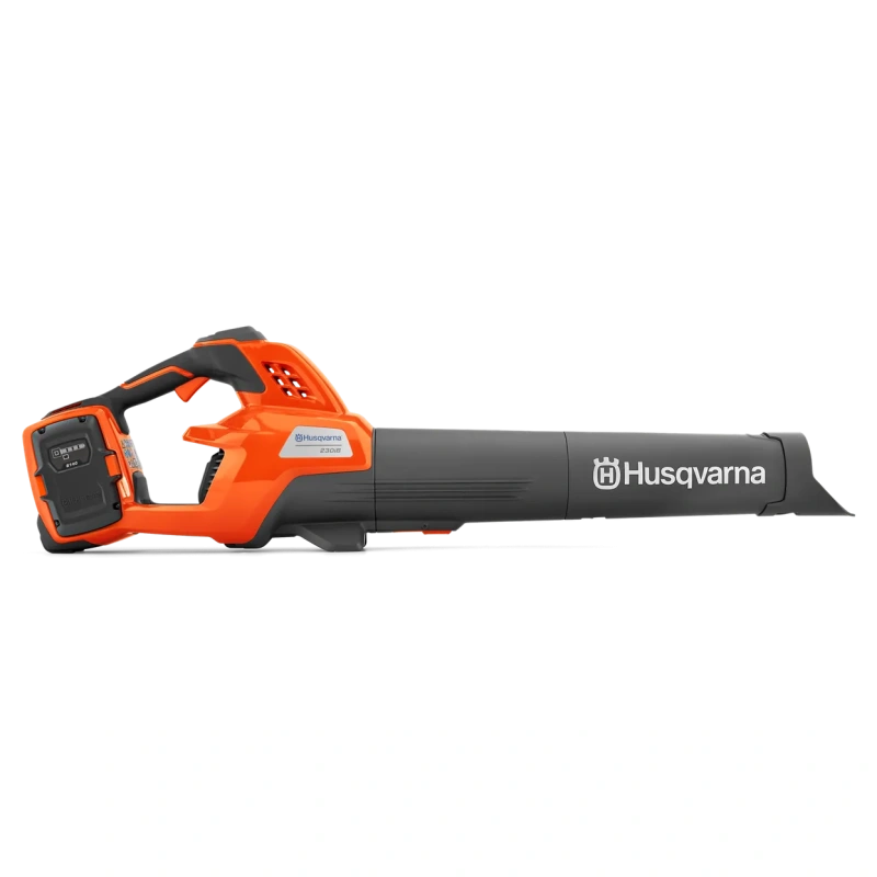 ar-808198.webp