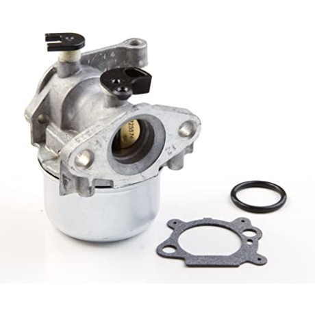 Karburaator B&S Quantum 799871