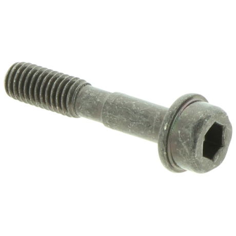 Kruvi starterikaanele Husqvarna - 555FXT