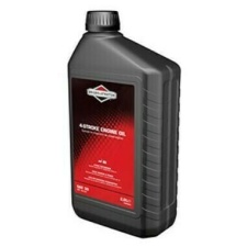 Briggs&Stratton 5W30 1.0L