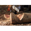 94045_making_firewood_hq_p_2022-03_0014_global_1.jpg