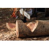 94045_making_firewood_hq_p_2022-03_0014_global_2 (1).jpg
