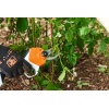 119322_winterize-berry-bed_hq_p_2024-01_0013_global_1.jpg