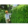 102550_trim-tall-hedges_hq_p_2023-01_0012_global.jpg