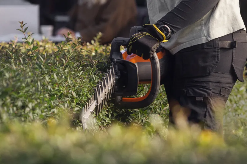 dt-610064.webp (54 KB)