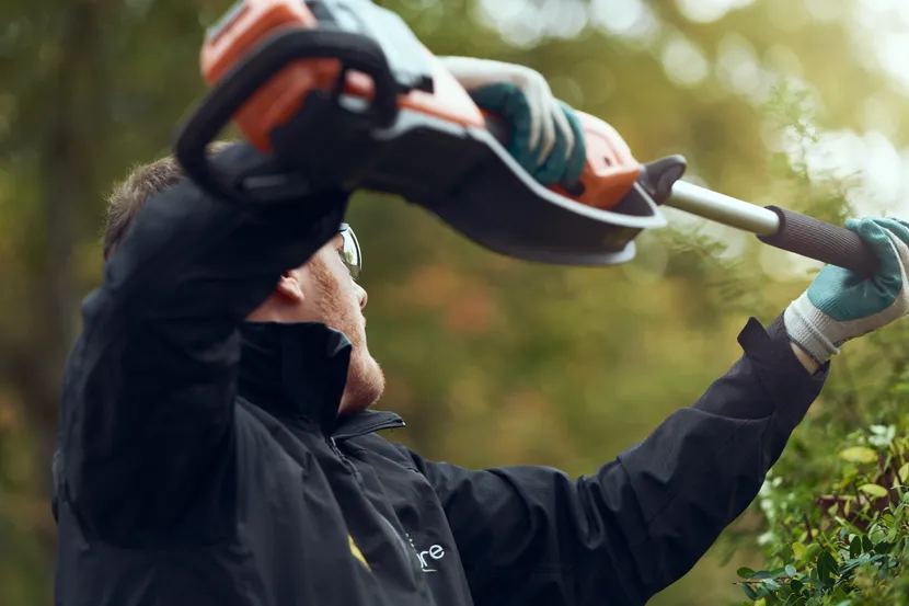 ev-794293.webp (31 KB)