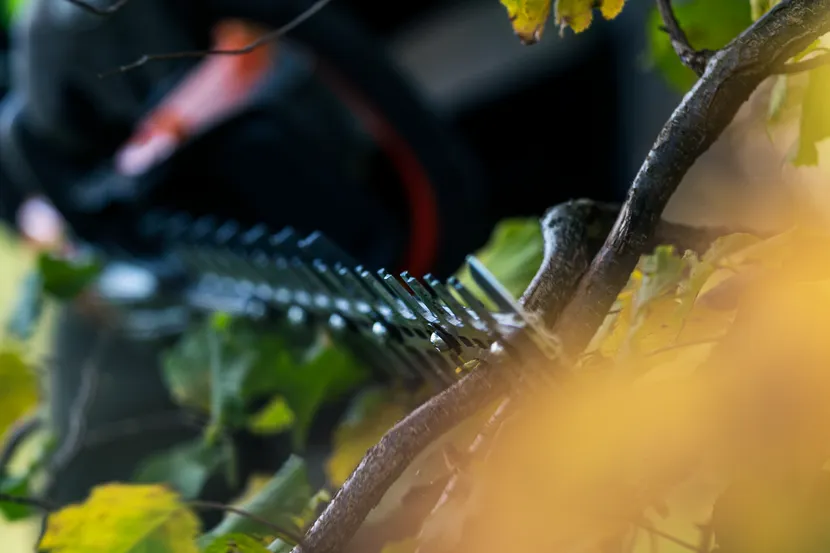 pc-529727.webp (25 KB)