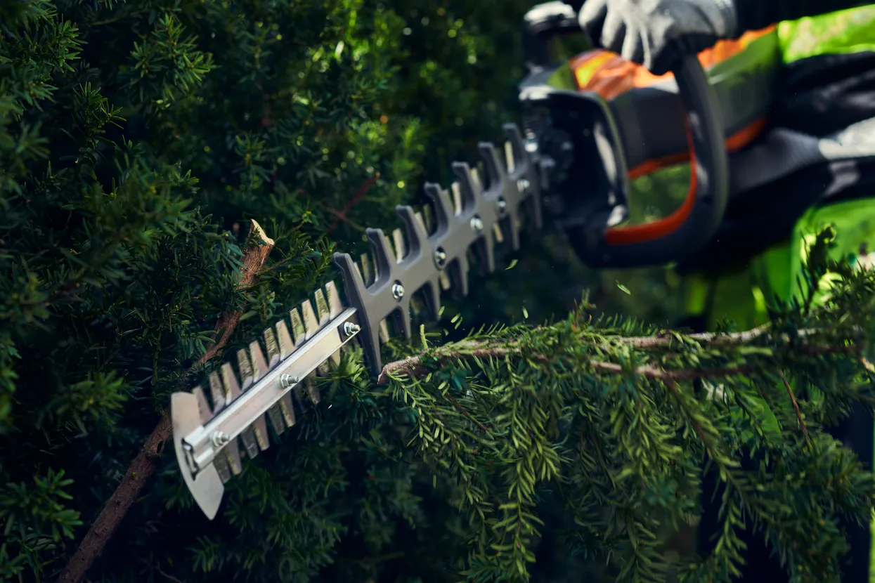 qi-134887.webp (109 KB)