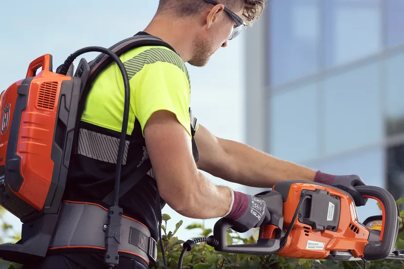 vx-824270.webp (47 KB)