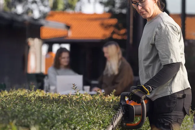 wc-714178.webp (34 KB)