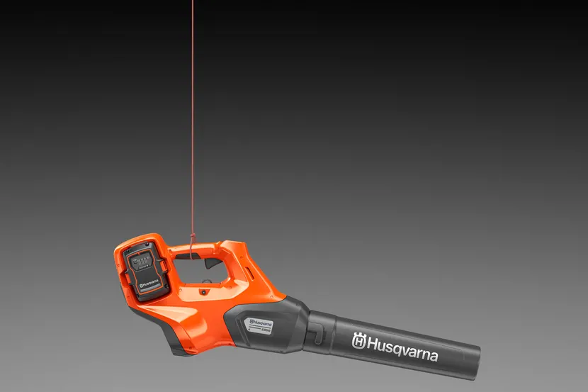 hk-609859.webp (11 KB)